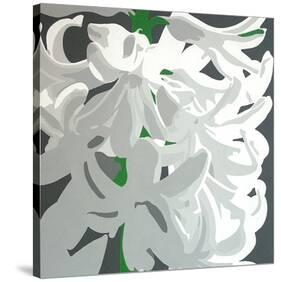 White Hyacinth-Susan Porter-Stretched Canvas