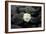 White Hydrangea and Wet Stones-crystalfoto-Framed Photographic Print