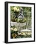 White Hydrangeas and a Cherub on a Terrace-Elke Borkowski-Framed Photographic Print