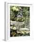 White Hydrangeas and a Cherub on a Terrace-Elke Borkowski-Framed Photographic Print