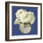 White Hydrangeas I-Emma Scarvey-Framed Art Print