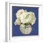 White Hydrangeas I-Emma Scarvey-Framed Art Print