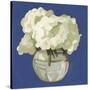 White Hydrangeas I-Emma Scarvey-Stretched Canvas