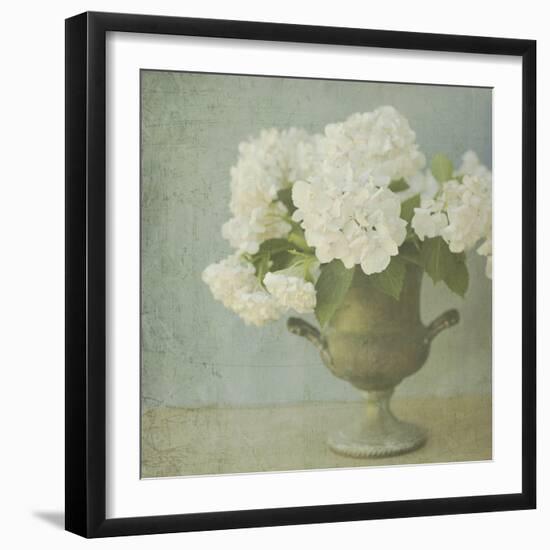 White Hydrangeas-Shana Rae-Framed Giclee Print