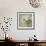 White Hydrangeas-Shana Rae-Framed Giclee Print displayed on a wall