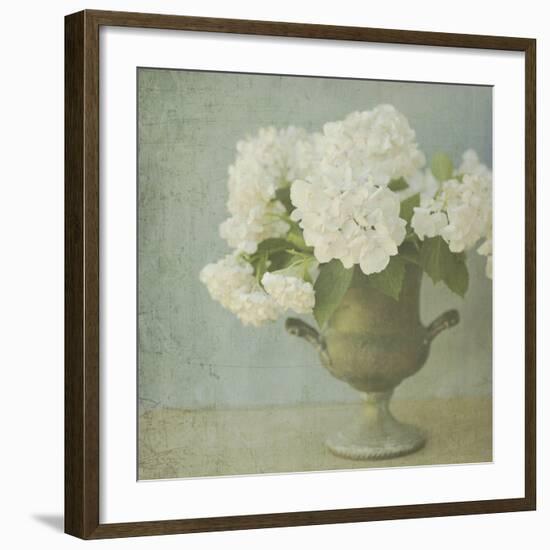 White Hydrangeas-Shana Rae-Framed Giclee Print