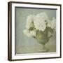 White Hydrangeas-Shana Rae-Framed Giclee Print