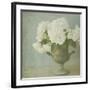 White Hydrangeas-Shana Rae-Framed Giclee Print