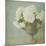 White Hydrangeas-Shana Rae-Mounted Giclee Print