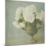 White Hydrangeas-Shana Rae-Mounted Giclee Print