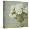 White Hydrangeas-Shana Rae-Stretched Canvas