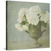 White Hydrangeas-Shana Rae-Stretched Canvas