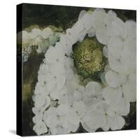 White Hydrengea-Farrell Douglass-Stretched Canvas