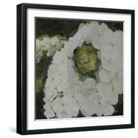 White Hydrengea-Farrell Douglass-Framed Giclee Print