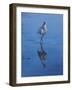 White Ibis-Michael Jackson-Framed Giclee Print