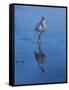 White Ibis-Michael Jackson-Framed Stretched Canvas