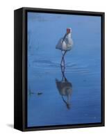 White Ibis-Michael Jackson-Framed Stretched Canvas