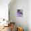 White In Purple-Heidi Westum-Mounted Photographic Print displayed on a wall