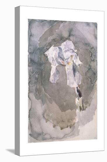 White Iris-Mikhail Alexandrovich Vrubel-Stretched Canvas
