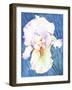 White Iris-Mary Russel-Framed Giclee Print