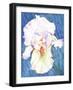 White Iris-Mary Russel-Framed Giclee Print