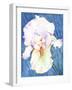 White Iris-Mary Russel-Framed Giclee Print