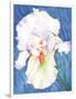 White Iris-Mary Russel-Framed Giclee Print