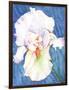 White Iris-Mary Russel-Framed Giclee Print