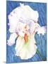 White Iris-Mary Russel-Mounted Giclee Print