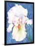 White Iris-Mary Russel-Framed Giclee Print