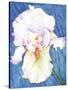 White Iris-Mary Russel-Stretched Canvas