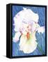 White Iris-Mary Russel-Framed Stretched Canvas