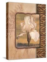 White Iris-TC Chiu-Stretched Canvas