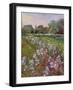 White Irises and Farmstead-Timothy Easton-Framed Giclee Print