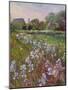 White Irises and Farmstead-Timothy Easton-Mounted Giclee Print