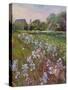 White Irises and Farmstead-Timothy Easton-Stretched Canvas