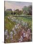 White Irises and Farmstead-Timothy Easton-Stretched Canvas