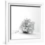 White is back-Philippe Sainte-Laudy-Framed Photographic Print