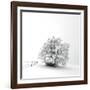 White is back-Philippe Sainte-Laudy-Framed Photographic Print