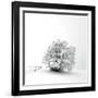 White is back-Philippe Sainte-Laudy-Framed Photographic Print