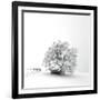 White is back-Philippe Sainte-Laudy-Framed Photographic Print