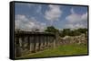 White Island, Lower Lough Erne, County Fermanagh, Ulster, Northern Ireland, United Kingdom, Europe-Carsten Krieger-Framed Stretched Canvas