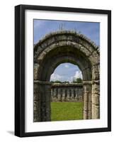 White Island, Lower Lough Erne, County Fermanagh, Ulster, Northern Ireland, United Kingdom, Europe-Carsten Krieger-Framed Photographic Print