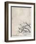 White Jacquard-Jodi Maas-Framed Giclee Print