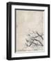 White Jacquard-Jodi Maas-Framed Giclee Print