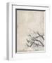 White Jacquard-Jodi Maas-Framed Giclee Print