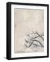 White Jacquard-Jodi Maas-Framed Giclee Print