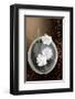 White Jasmine-Gerard Beauvoir-Framed Art Print