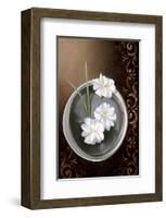 White Jasmine-Gerard Beauvoir-Framed Art Print