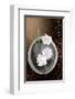 White Jasmine-Gerard Beauvoir-Framed Art Print